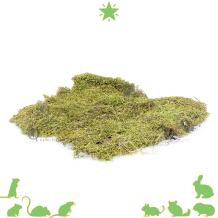 Terrarium Mos voor knaagdieren 200 gram