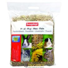 Beaphar Hooi met paardenbloem