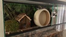 80x30x40 dwerghamster kooi met schuifruiten zonder plateaus