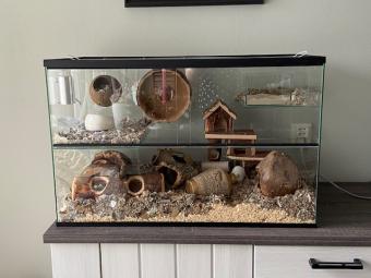 Tweedehands hamsterkooi kopen