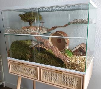 Tweedehands gerbilarium 60x40x60 met glazen opzetstuk voor gerbils