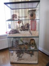 Degoe terrarium 60x40x120