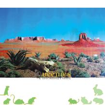 Achterwand Knaagdieren Terrarium Steppe