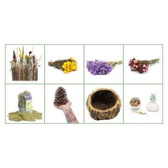 Starterspakket met bloemen