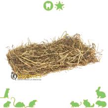 Eko Animal bedding Farmers Timothy Hay