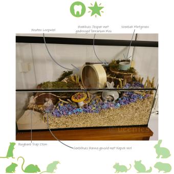 Buigbare Trap 27 cm
