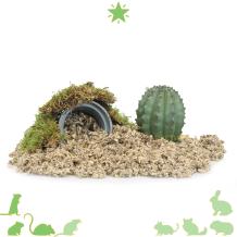 functionele woestijndecoratie in Hamsterscaping