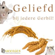 Trosgierst voor Gerbils 150 gram
