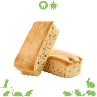 Krokante biscuits met noten voor kleine knaagdieren