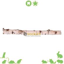 Berkenstam 50 cm - Hamsterscaping Berkenstam van Berkenhout