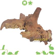 Mopani houtwortel Extreem