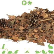 Apeldoornse Bosmix