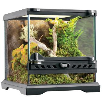 EX Glass Terrarium met Achterwand met dubbele deuren en ventilatie