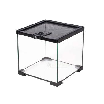 Terrarium glas Zwart voor insecten en kweek