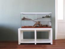 Warmtemat voor Terrarium 20x30 cm