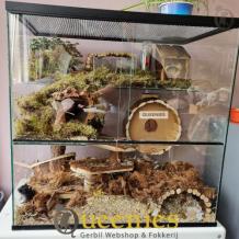 3 Dubbel Plateau van hout! houten renard en mos voor knaagdieren