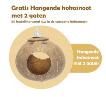 GRATIS! Jungle Kokosnoot met 2 gaten