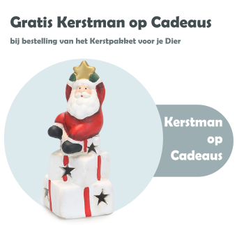 GRATIS!! Kerstmand op Cadeaus