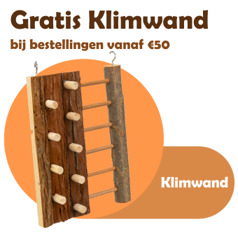 Klimwand voor gerbils en kleine knaagdieren gratis cadeau actie
