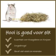 2,5 KG Alpenhooi - Vadibed gerbil
