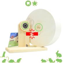 Hamster terrarium met houten loopwiel