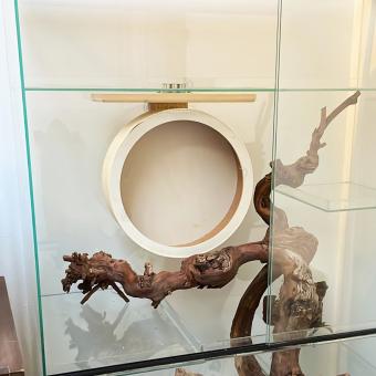 Magnetisch houten loopwiel zijaanzicht in terrarium