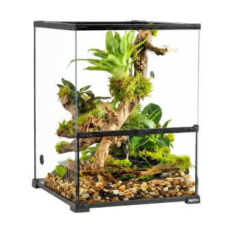 Paludarium van ultra helder glas 45 x 45 x 60 cm