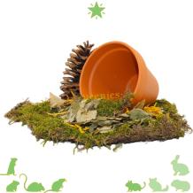 Terracotta pot voor Hamsterscaping