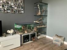 Knaagdieren terrarium voor Gerbils 100x40x40