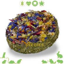 Knaagdier bloementaart