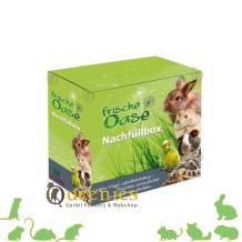 Frische Oase navulbox