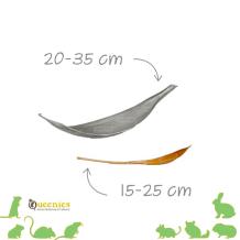 Knaagdieren dienblad - Kokosnootschil 20-35 cm