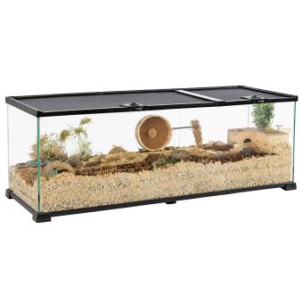 Glazen terrarium met uitneembare bak voor zand en bodembedekking