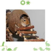 Kokosnoten hangbrug met gerbil