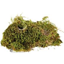 Terrarium Mos voor knaagdieren 200 gram