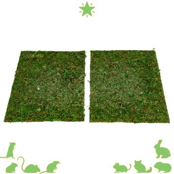Set van 2 natuurlijke mosmatten voor terrarium