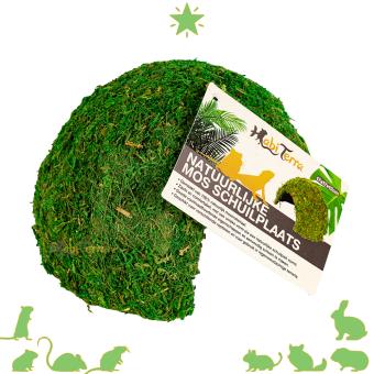 Mos grot voor hamsterscaping en reptielen