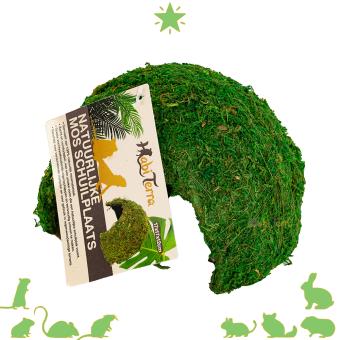 Groene mos schuilplaats voor terrarium