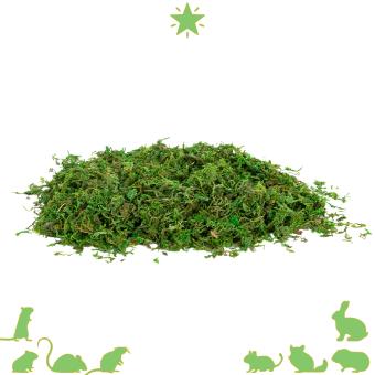 Natuurlijk terrarium mos 100 gram