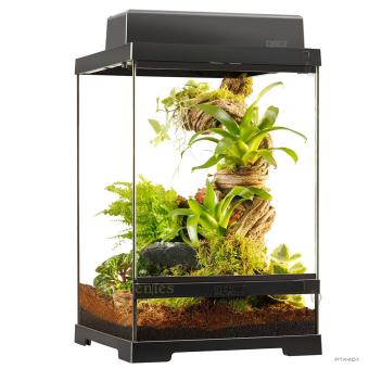 Terrarium 30x30x45 met inrichting