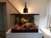 60x40x40 insectenkooi voor Knaagdieren