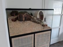 Gebruikt 80x40x40 zonder schuifruiten en zonder plateaus