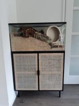 Gebruikte degoe terrarium 75x40x100