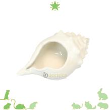 Schelp voor Zomer hamsterscape