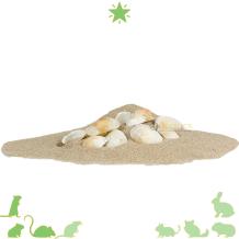 Natuurlijke decoratieve schelpen