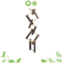 Schots en Scheef ladder voor Gerbils