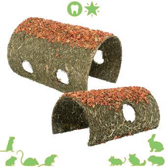 Eetbare schuilplaats voor konijnen met wortel