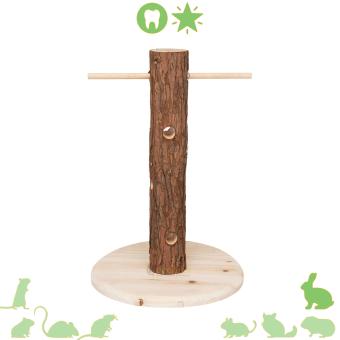 Konijnen snack boom van natuurlijk hout