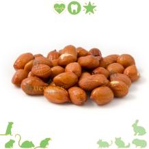 Aardnoten 120 gram - Dé perfecte snack voor ieder Knaagdier