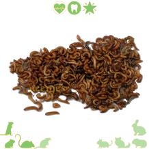 Gedroogde insecten Mix voor knaagdieren